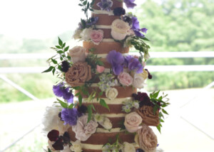 hastings naked wedding cake fairlight hall east sussex